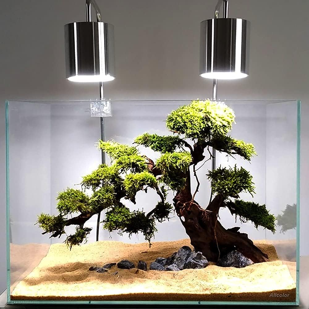 Ultra Clear Rimless Aquarium Tank 6-60 gallons Low Iron Glass (10GaI - Top Glass Canopy)