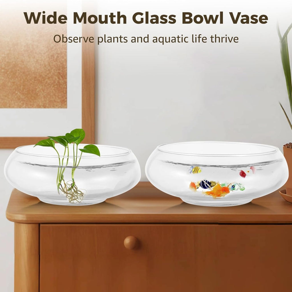 2 PCS Glass Bowl Vases, Wide Mouth Round Glass Terrarium, Hydroponic Planter, Clear Floral Container