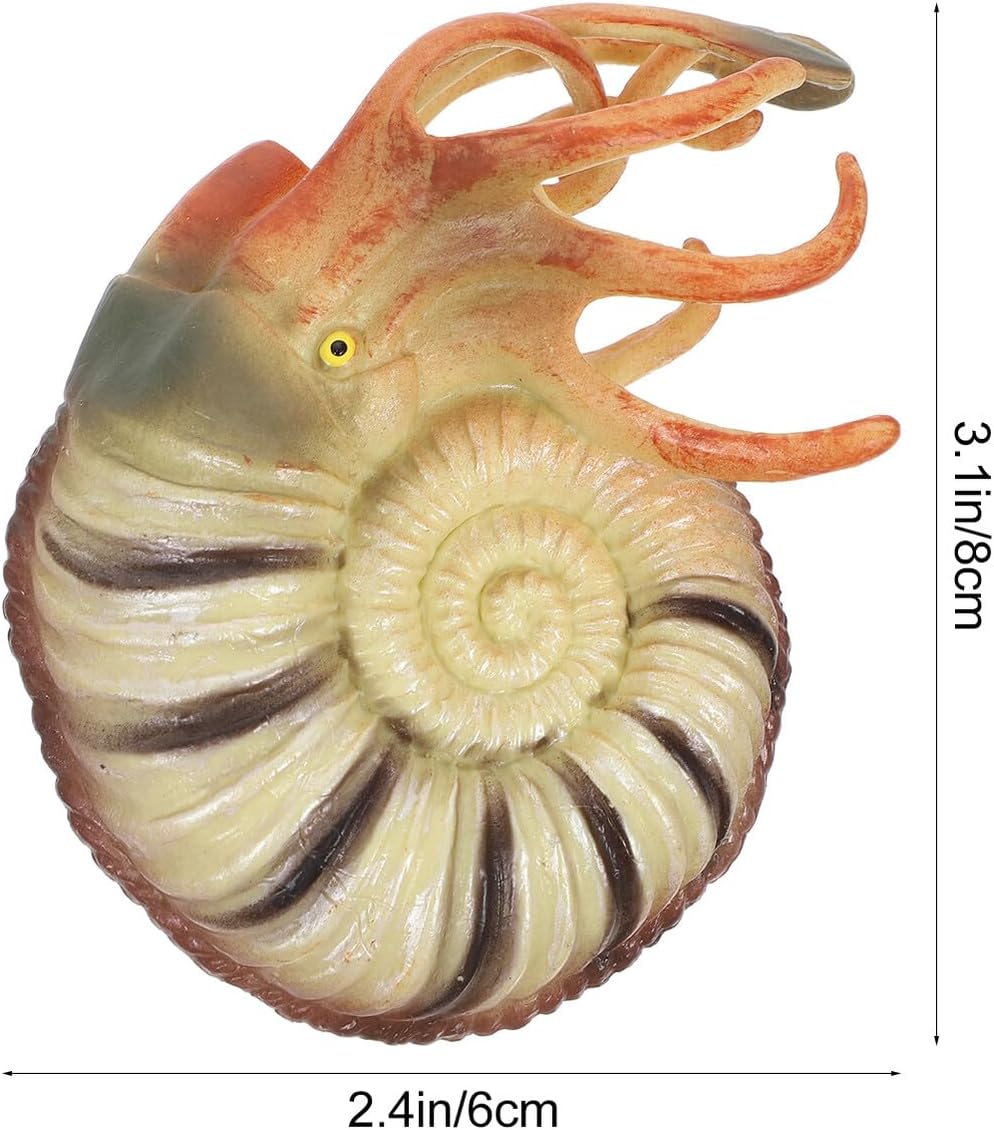 Hemoton Realistic Nautilus Model Ocean Animal Aquarium Decor Creature Figurine Educational for Creativity Development