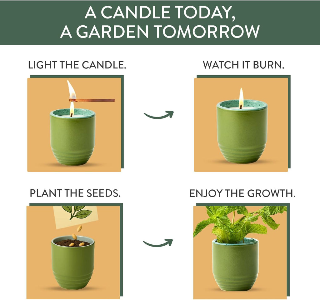 Modern Sprout Garden Vibes 2-in-1 Soy Candle & Planter - 3-Pack Indoor Set (Violet Hour, in The Weeds, Golden Moments) 6 Oz Scented Candles with Lavender, Sage & Mint Seeds – 38–40 Hr Burn Each