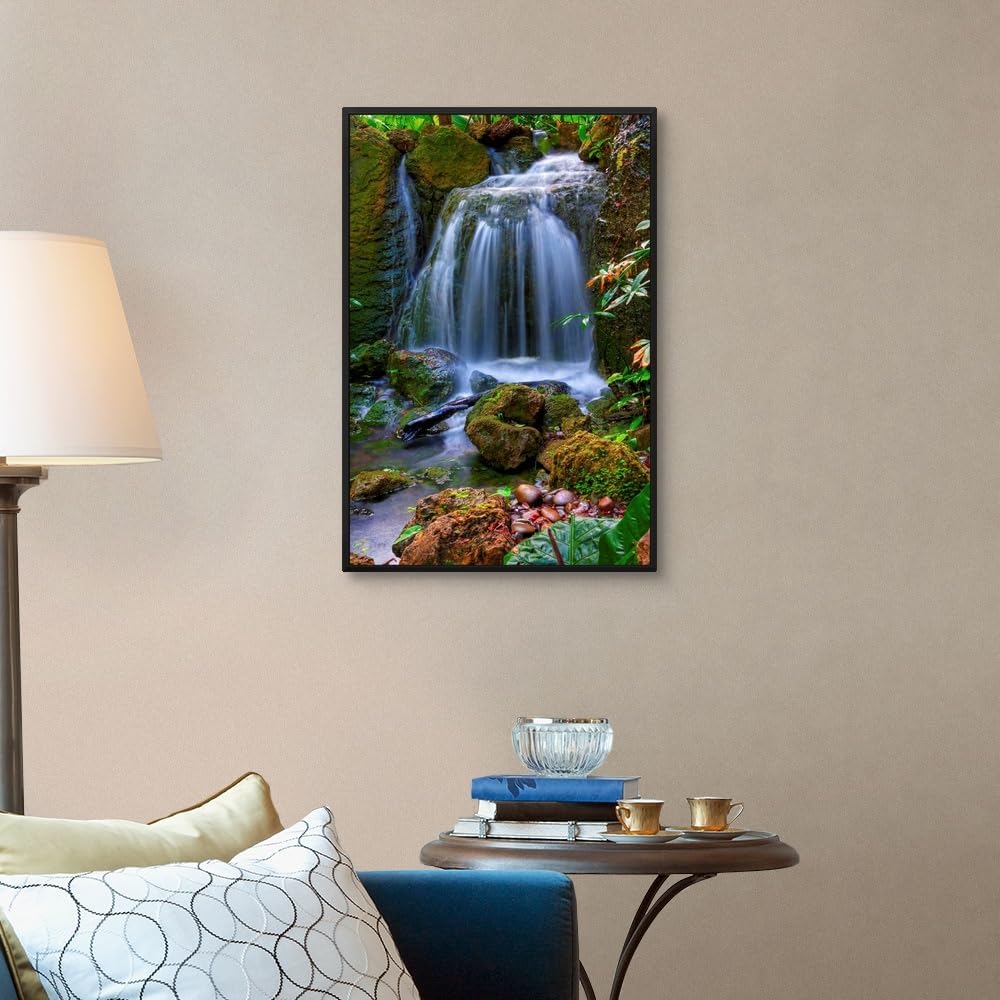 CANVAS ON DEMAND Waterfall in Tropical Rainforest of Fairchild Tropical Gardens, Black Float Framed Canvas Wall Art Print, Home Decor, Floral, Flowers, Nature Artwork, 20" x30in