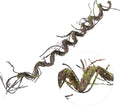 180cm/70.86in Bendable Artificial Tree Branches Vines Greenery Garland Rattan Fake Plants Twigs for Wall Hanging Moss Room Outdoor Wedding Archway Patio Jungle Christmas Front Door Mantel Decoration
