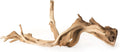 (05510 Staghorn Wood, 13-18 in