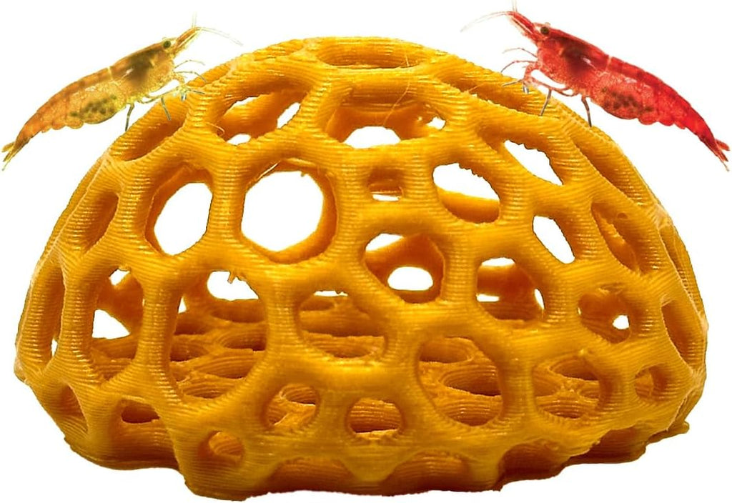 Shrimp Dome Hide - Aquarium Cherry Shrimp Hide - CTWPets Cherry Shimpe Hide (Honey Gold)