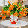2 Orange Christmas Cactus Plants Live, True Thanksgiving Cactus Live Size 6-9" Inches Tall, Ready to Blooms, Holiday Houseplant, Cold Hardy, Bloom in Winter