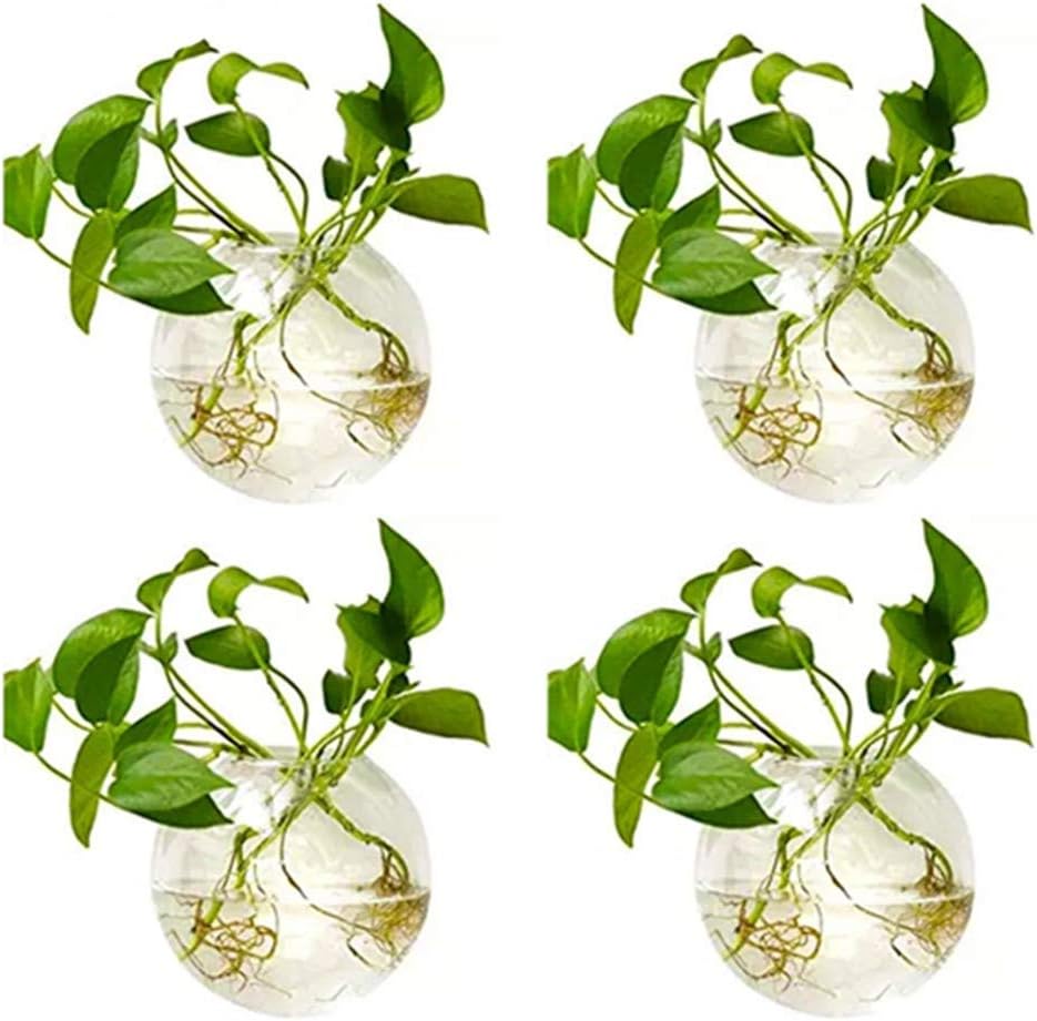 NUPTIO Wall Hanging Planters Terrarium: 4Pcs Clear Glass Wall-Mounted Vases for Indoor Office Garden Living Room - Oblate Plant Pots Hydroponic Containers Propagation Stations for Flowers