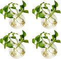 NUPTIO Wall Hanging Planters Terrarium: 4Pcs Clear Glass Wall-Mounted Vases for Indoor Office Garden Living Room - Oblate Plant Pots Hydroponic Containers Propagation Stations for Flowers