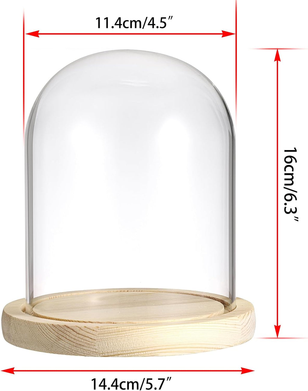 JUXYES Clear Glass Display Dome Cloche with Solid Wood Base, Transparent Dome Cloche Bell Terrarium Jar Glass Dustproof Display Stand for Plants, Collectibles and Figurines