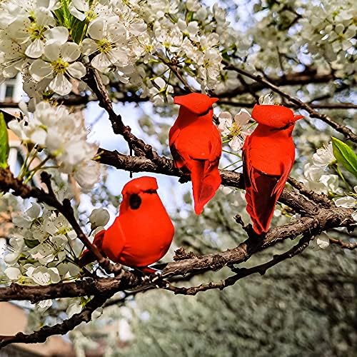 Berfutall-Cardinal Clip On Christmas Tree Ornament Decorations - Red Feathers Set of 12 Pieces Each is 2.8" Lon(A)