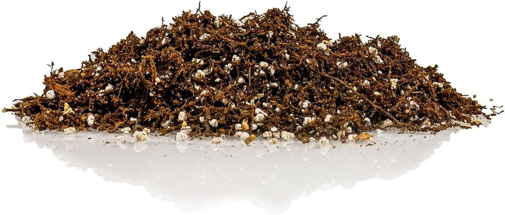 Gardenera Fern + Perlite Soil Mix for Repotting and Planting Succulents and Cactuses - 3 Quart Bag