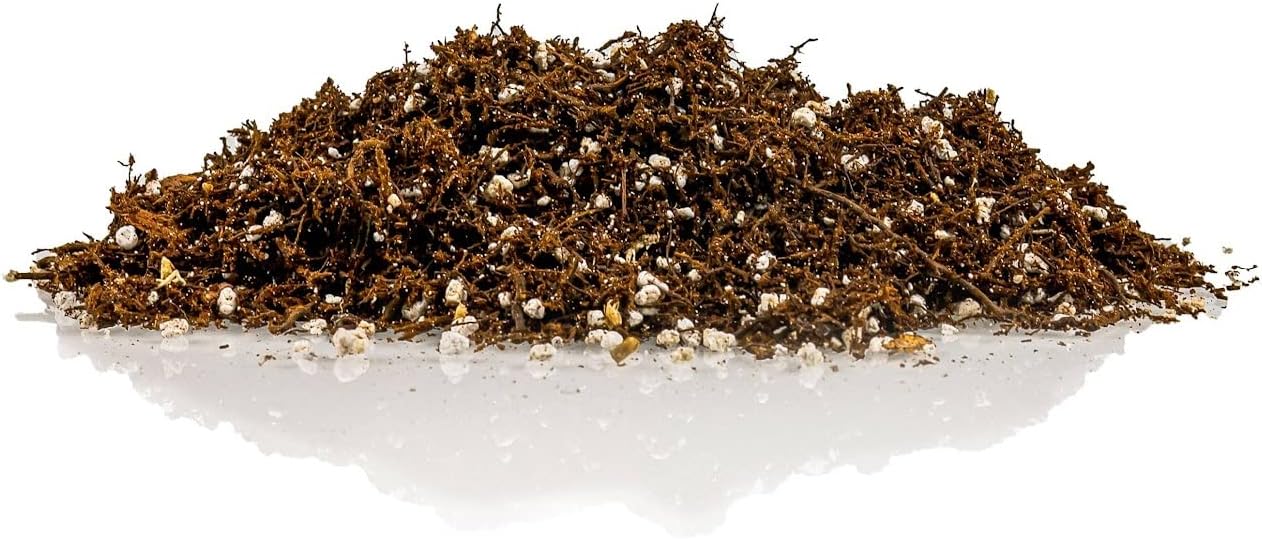 Gardenera Fern + Perlite Soil Mix - 10 Quart - for Repotting and Planting Succulents and Cactuses (2 Bags of 5 Quart)