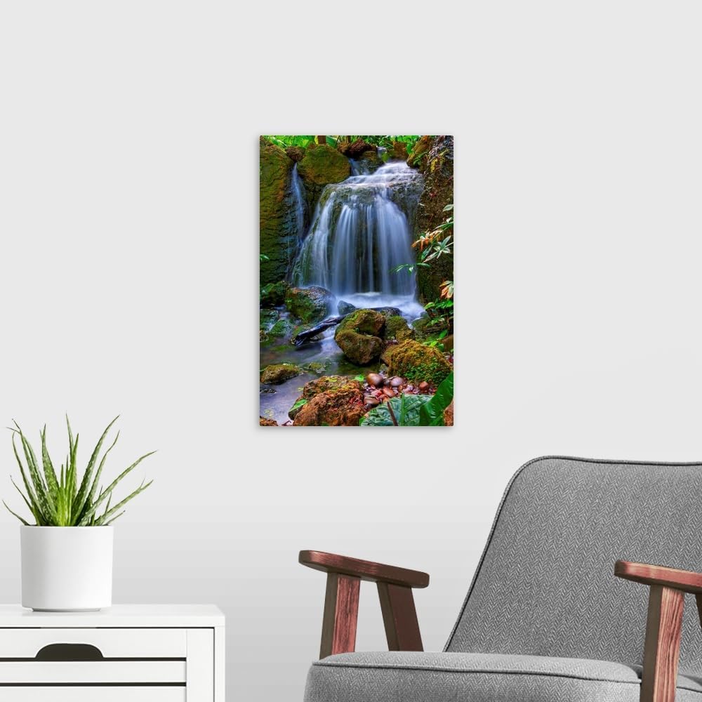 CANVAS ON DEMAND Waterfall in Tropical Rainforest of Fairchild Tropical Gardens, Canvas Wall Art Print, Home Decor, Floral, Flowers, Nature Artwork, 12" x18in