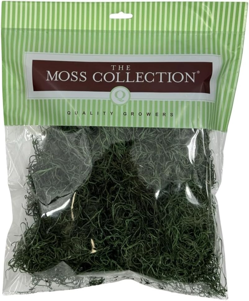 Preserved Spanish Moss - Decorative Moss - Dried Moss for Crafts, Home Decor, Art, Design & DIY Projects - for Indoor Use - Forest Green - Medium Size