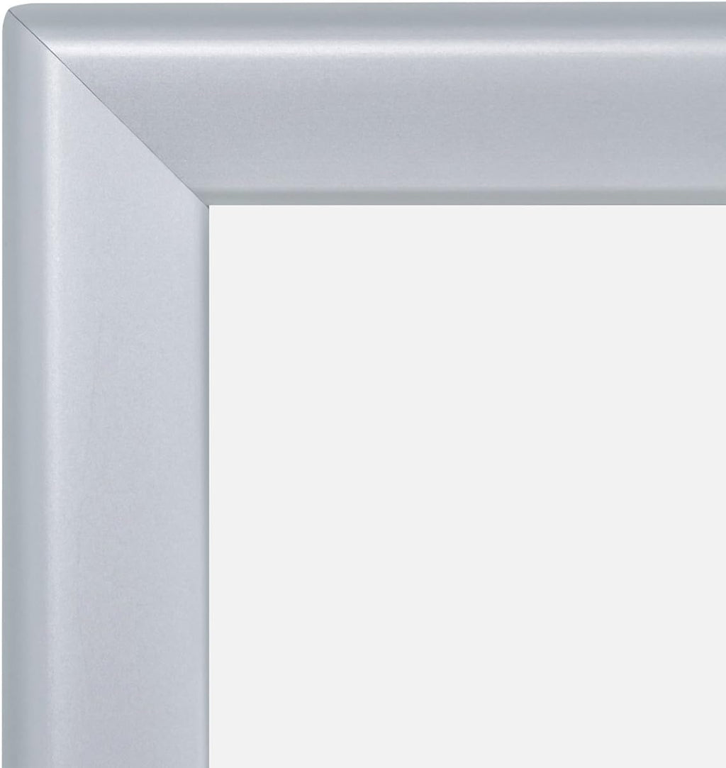 SnapeZo Photo Frame 17x19, Silver, 1.25 Inch Aluminum Profile, Front-Loading Snap Frame, Wall Mounting, Professional Series