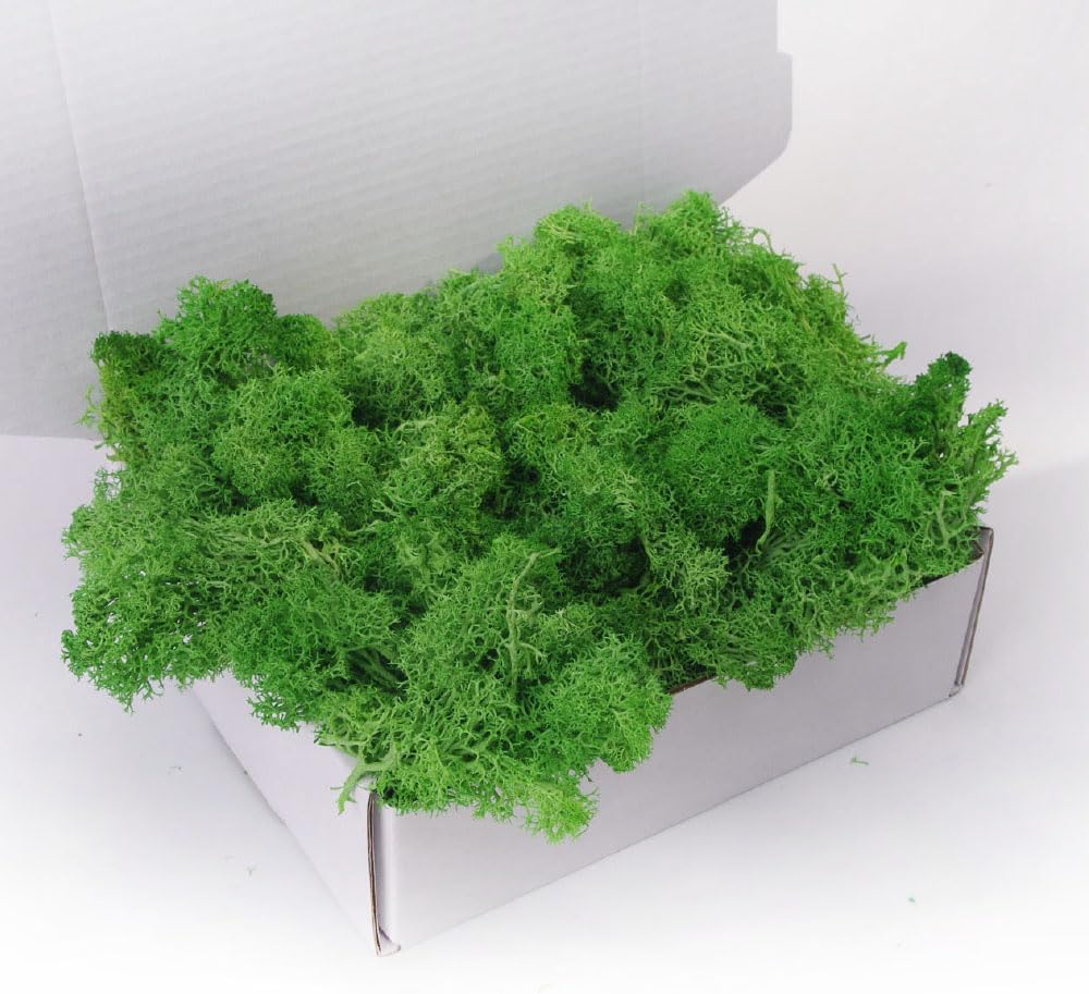 Preserved Moss-3.5 OZ Moss for Crafts Faux Moss Decor Natural Green Moss for Art Wall Florist Decor(Green 3.5 OZ)