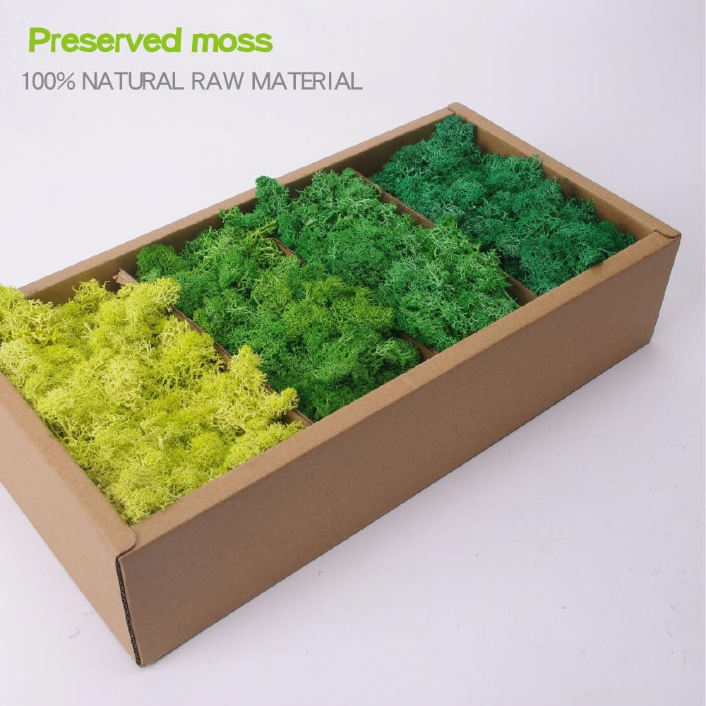 Preserved Moss-1.1lb 4 Color Mix Pack Reindeer Craft Moss, Green Moss Artificial Moss Suitable for Flowerbeds, Crafts, Home Office Artistic Decoration(Green Tones-2)