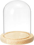 PATIKIL 5.1"x3.9" Clear Cloche Glass Dome, Glass Bell Jar Display Case Tabletop Centerpiece with Wooden Base for Plants Home Decor