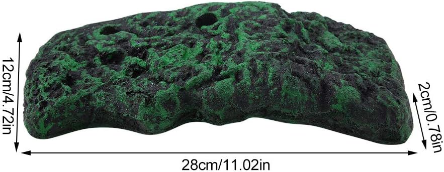 Turtle Climbing , Basking Automatic Floating Pier Terrapin Dock Reptile Ramp Terrarium Ornament with Suction Cup for Semi Aquatic Animals(L)