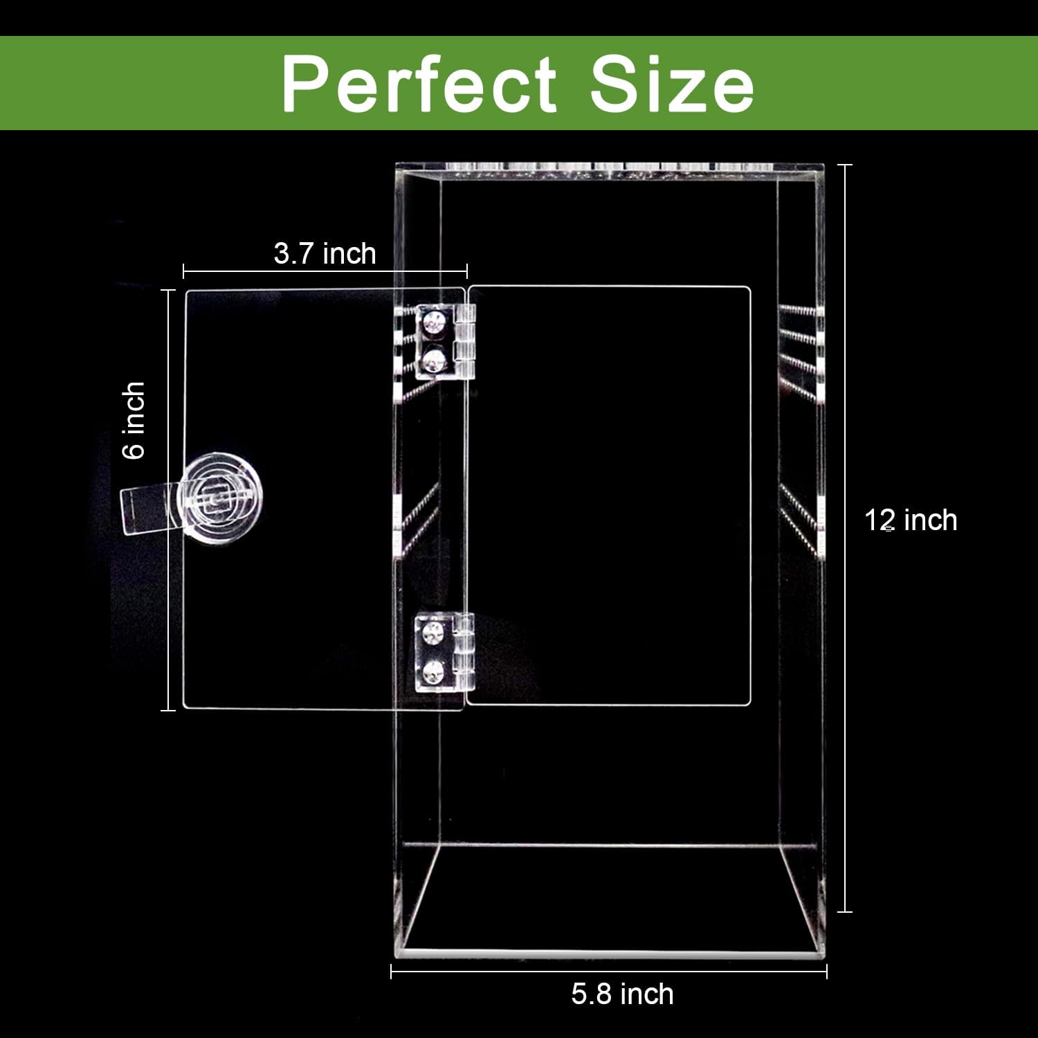 NANEEZOO Jumping Spider Enclosure with Front Opening Door, 6"x6"x12" Reptile Breeding Box Micro Habitat Terrarium for Small Tree Dwelling Reptiles, Spiders, Mantis & Invertebrates