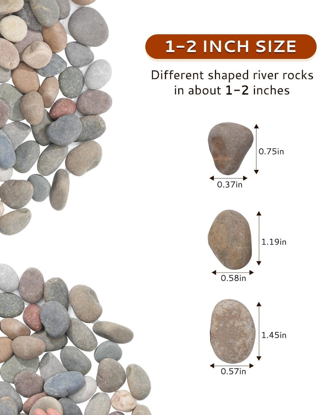 Decorative Natural River Rocks 20 LBS - 1-2 Inch Mexican Beach Pebbles for Landscaping, Garden, Walkways, Plant & Outdoor Decor