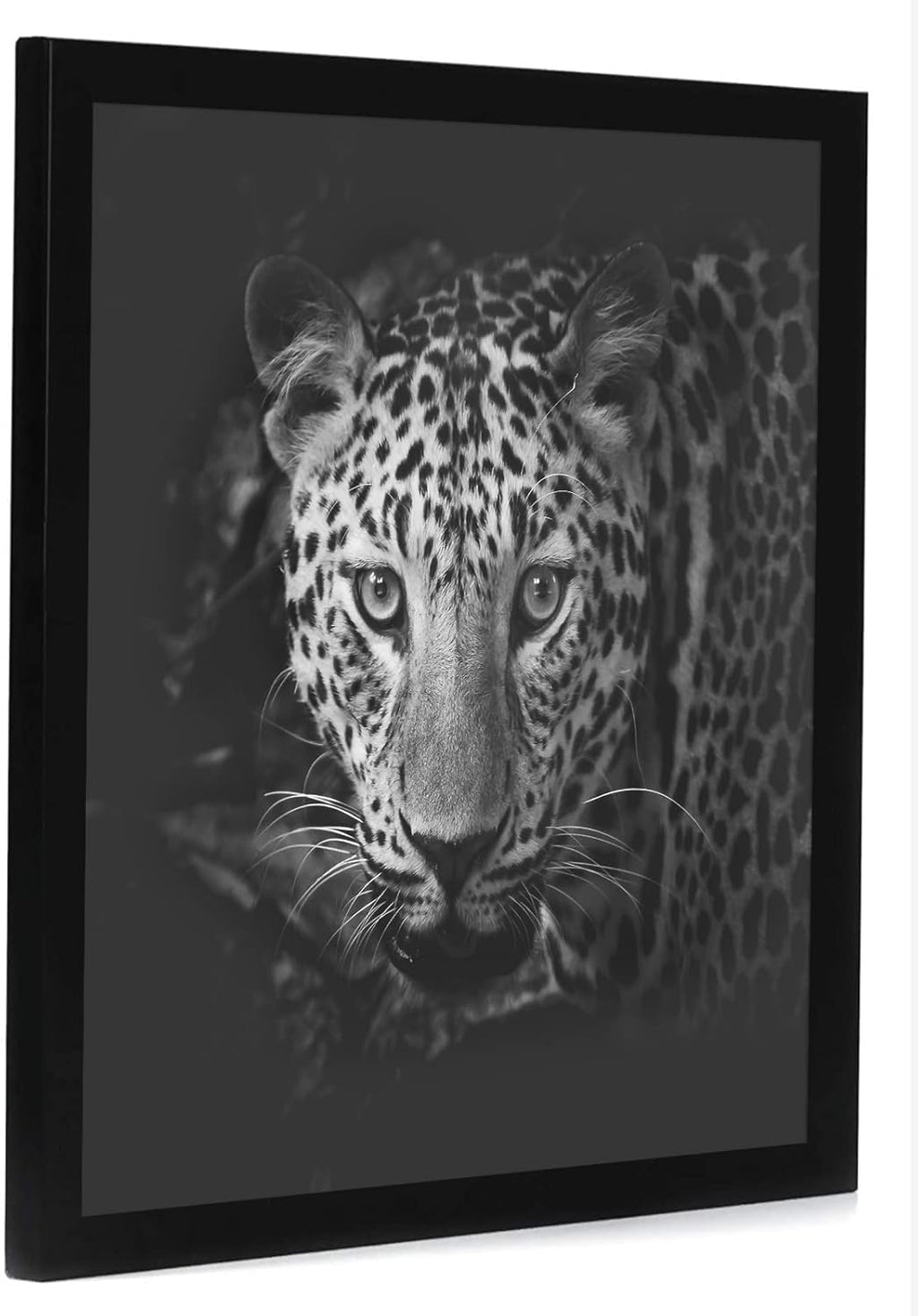 Americanflat 17x17 Picture Frame with Polished Plexiglass - Epic Collection - Square Picture Frame with Engineered Wood - Wide Photo Frames for Wall display - Black