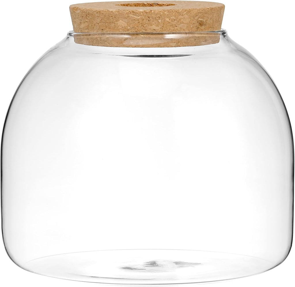 Yardwe Glass Terrarium Jar with Wood Stopper for Hydroponic Plants Mini Terrarium Kit Unique Fish Bowl Decor for Home and Office Clear Glass Propagation Vase