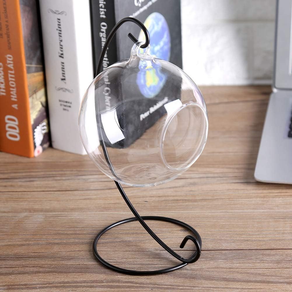 Large Clear Glass Terrarium Vase Hanging for Air Plants with Black Metal Stand Decorative Indoor Outdoor Easy to Hang Rustic Farmhouse Home Office Decor