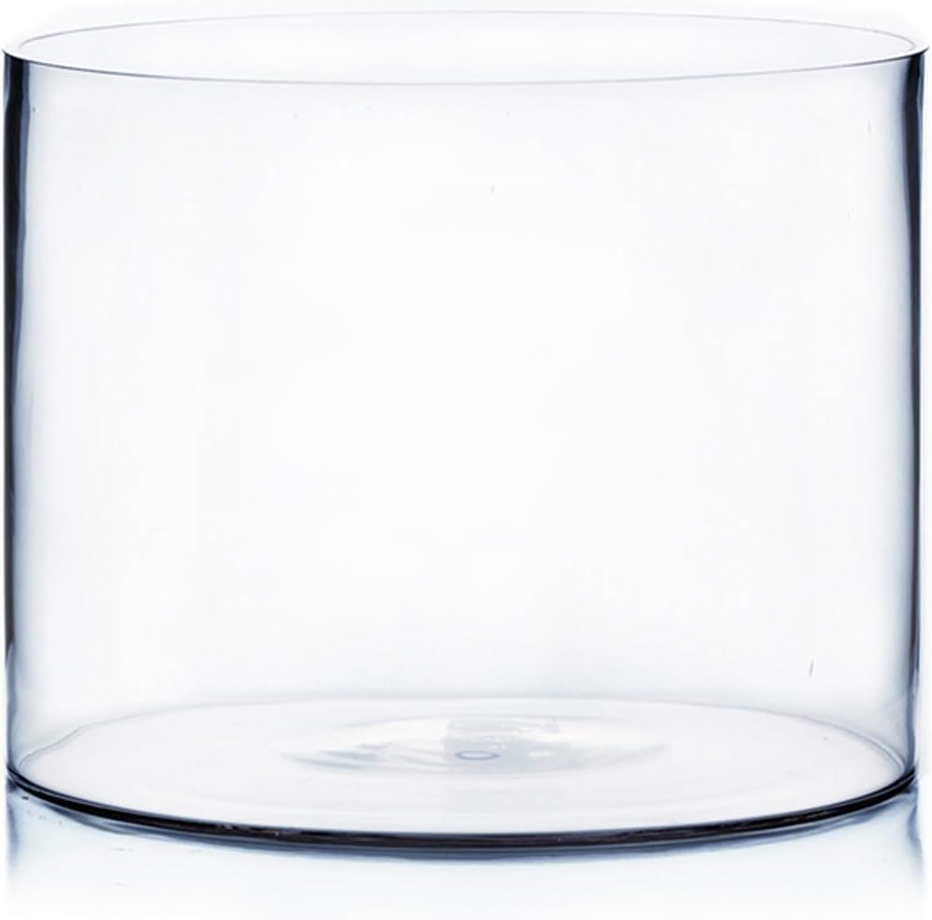 WGV Cylinder Vase, Width 10", Height 8", Clear Wide Large Diameter Flower Glassware, Floral Container, Planter Terrarium for Wedding Party Event, Home Accent Decor, 1 Piece
