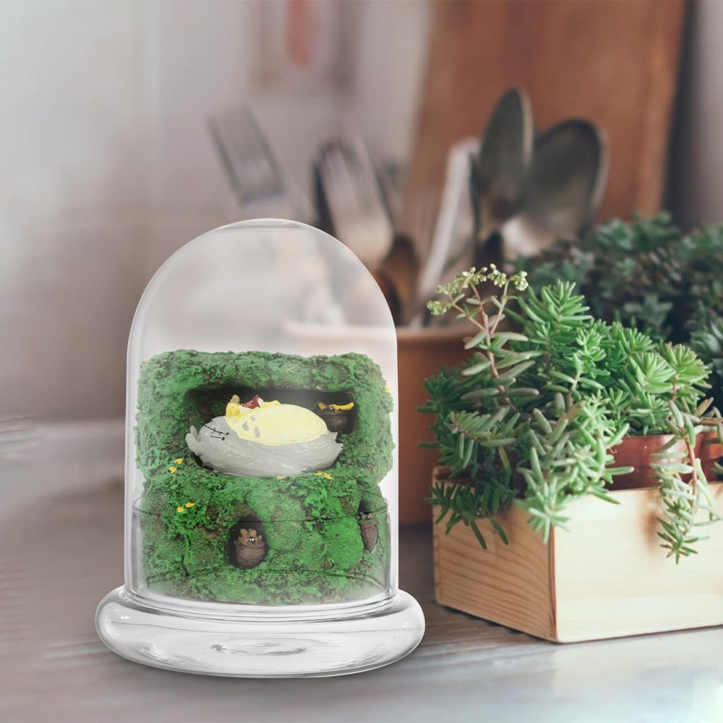 Hemoton Glass Display Dome,Clear Glass Dome for Micro Landscape DIY,Clear Cloche Bell Jar Terrarium Display Bottle,Decorative Case for Plants Succulents Fairy Lights Photos Medals