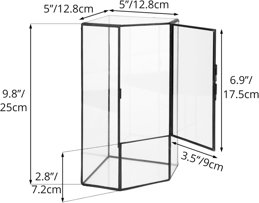 NCYP Front Opening Glass Terrarium with Door for Succulents, Small Plants - Closed Geometric Container Planter, Indoor Tabletop Wall Corner Landscape Decor, Black, 5" x 5" x 9.8" (Terrarium Only)