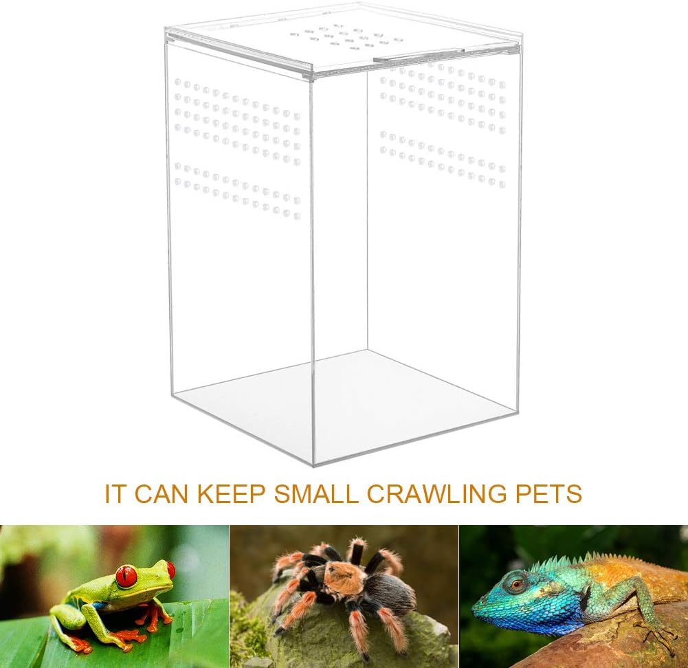 NANEEZOO Magnetic Acrylic Reptile Cage, 6"x6"x9" Tall Enclosure Transparent Reptile Breeding Box Terrarium Tank for Tarantula Scorpion Sling Isopods Invertebrates Insect Mantis