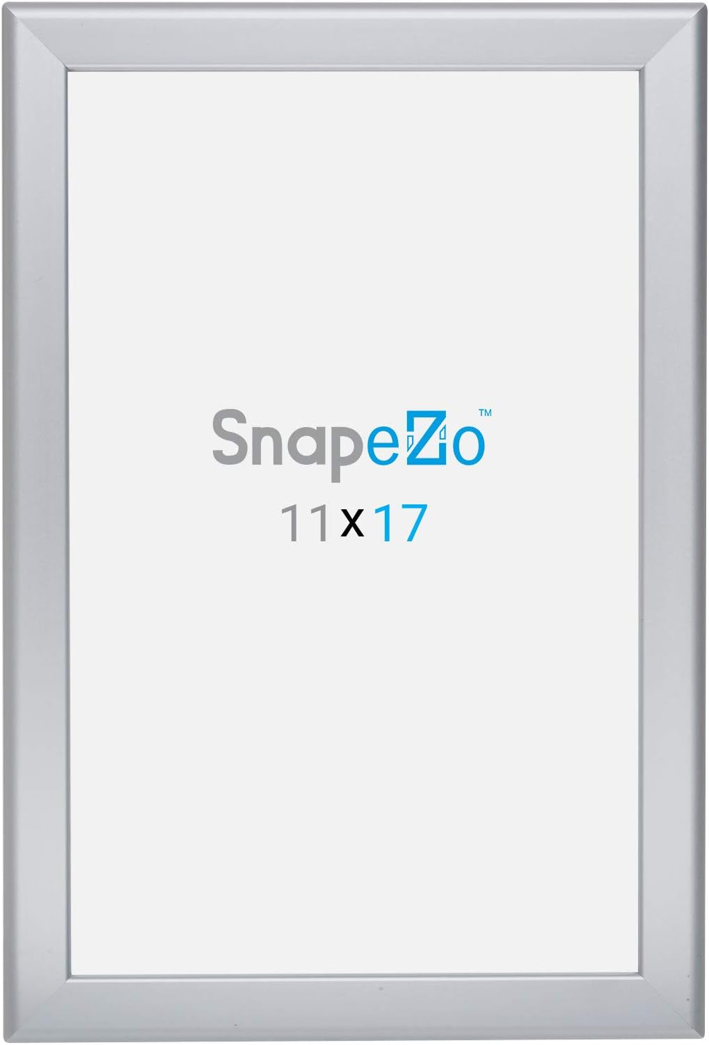 SnapeZo Photo Frame 11x17, Silver, 1.25 Inch Aluminum Profile, Front-Loading Snap Frame, Wall Mounting, Professional Series