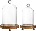 ZEERSHEE Pack 2 Clear Glass Dome with Wooden Base Glass Display Cloche Bell Shape Dome for Antique Collectibles Specimens Plants Dustproof Christmas Gift for Women（3.7*6.4in,3*5.6in