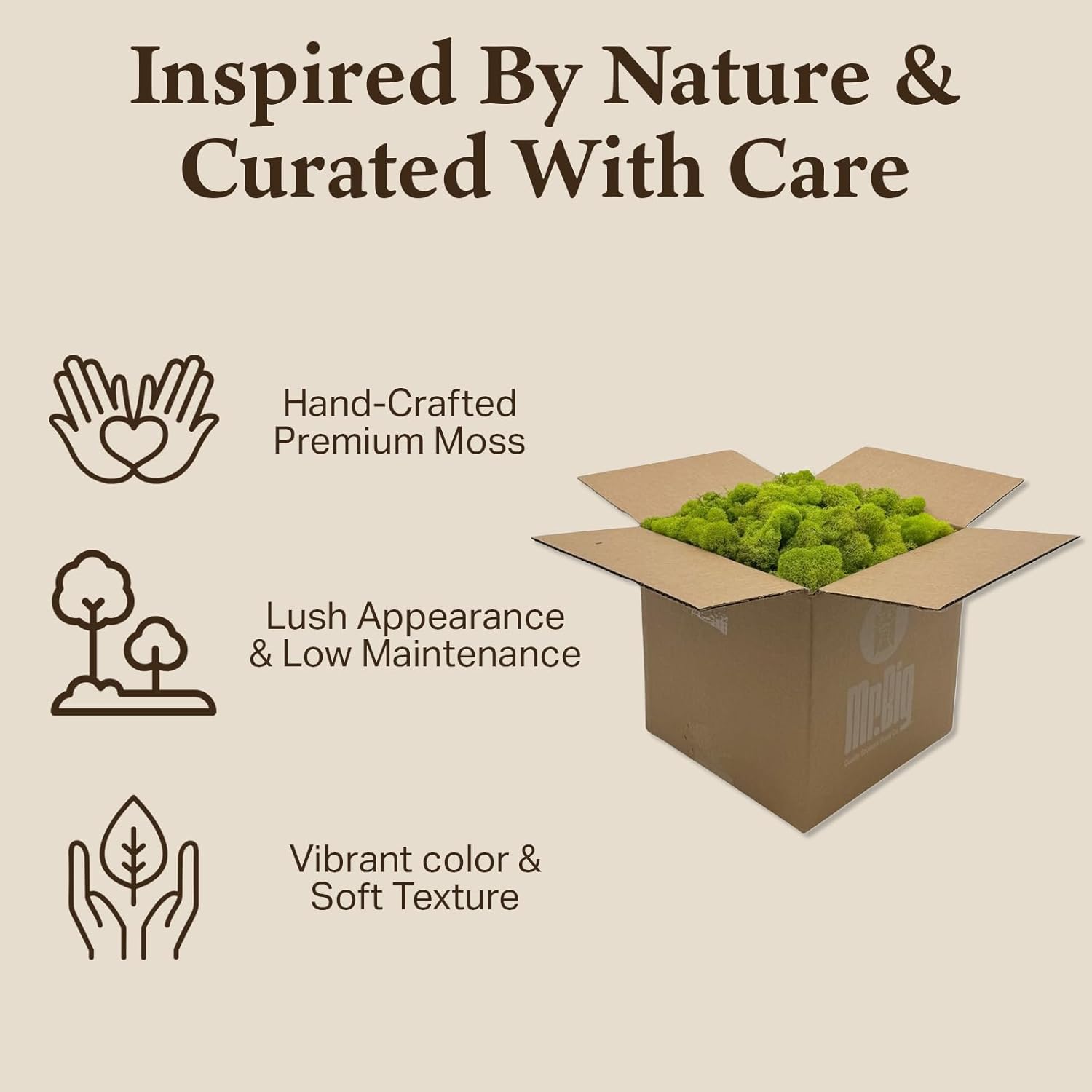 Preserved Reindeer Moss - Moss for Crafts, Home Decor, Art, Design & DIY Projects - Non-Toxic - USA Made (Chartreuse, Standard Box)