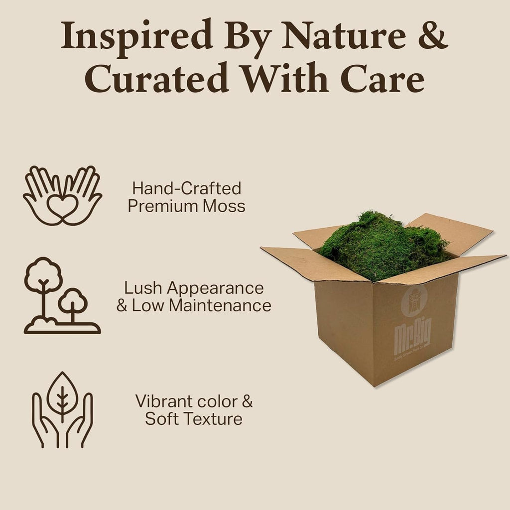 Preserved Sheet Moss - Natural Decorative Moss - Dried Moss for Crafts, Home Decor, Art, Design & DIY Projects - Non-Toxic - Green - Standard Box - Covers 5-7 sq. ft.