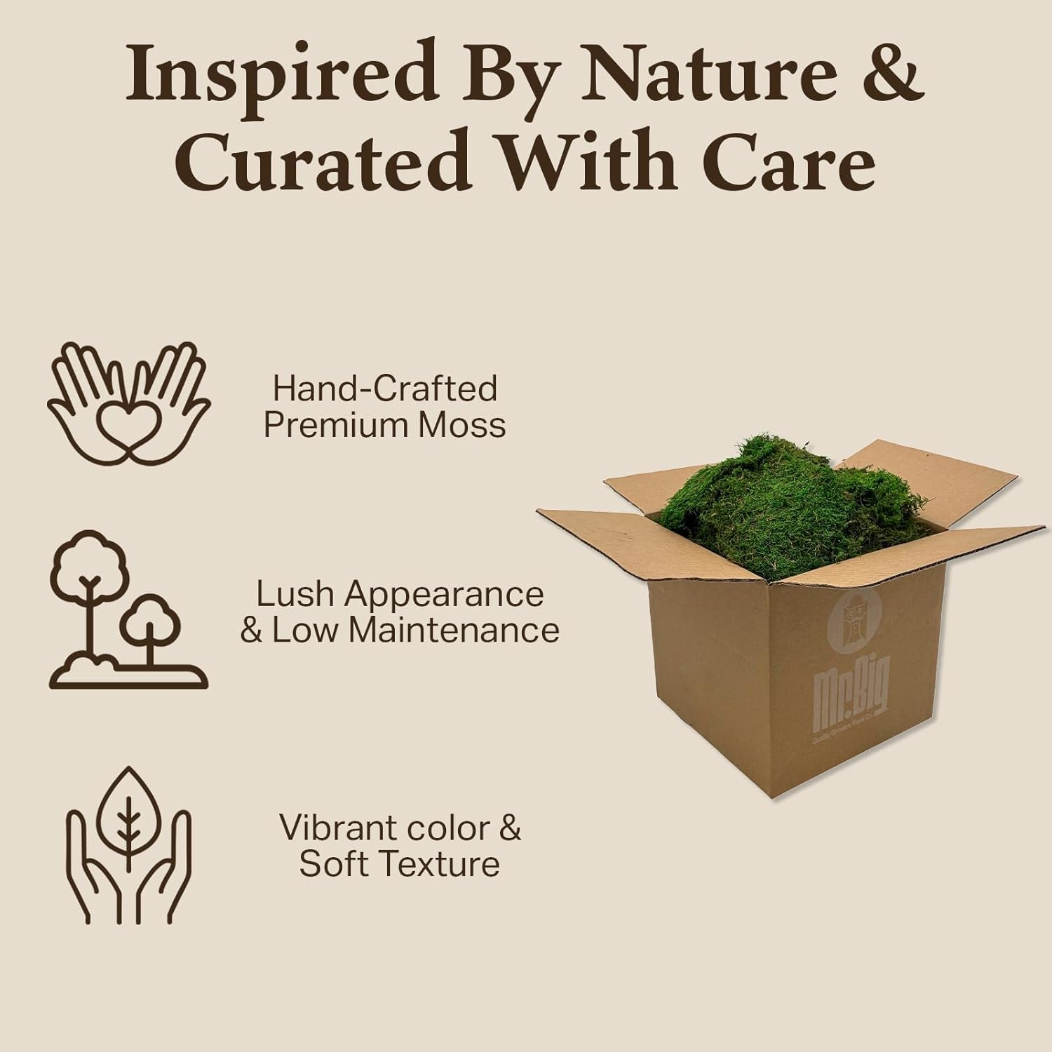 Preserved Sheet Moss - Natural Decorative Moss - Dried Moss for Crafts, Home Decor, Art, Design & DIY Projects - Non-Toxic - Green - Standard Box - Covers 5-7 sq. ft.