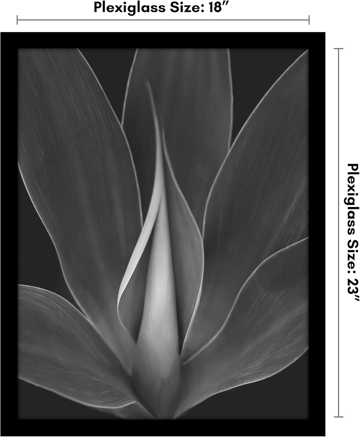 Americanflat 18x23 Poster Frame with Polished Plexiglass - Black Picture Frame - Wide Photo Frames Made of Engineered Wood for Vertical or Horizontal Wall Display - Epic Collection - Black