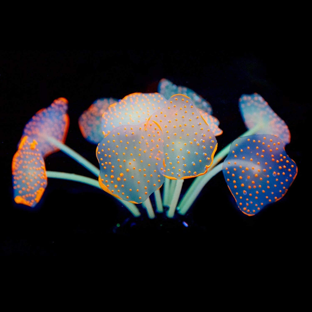 Uniclife Silicone Coral Plant Decorations Glowing Artificial Ornament for Fish Tank Aquarium, Orange, Ball Shape Glow Fish Tank Decorations for Betta Fish