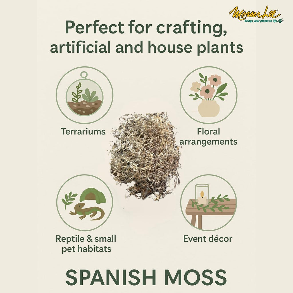 Mosser Lee Spanish Moss – Natural Decorative Moss for Houseplants, Soil Cover, Crafts, Terrariums & Floral Arrangements - 400 Cubic Inches