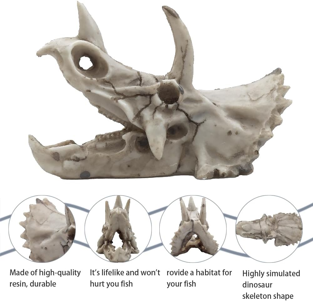Dinosaur Skull Aquarium Décor - Fish Tank Decoration Hideaway for Fish,Natural Look, 6.3"x4"x4" - Fun Underwater Environment! (6.7")