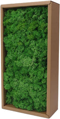 Preserved Reindeer Craft Moss-17.6oz Natural Green DIY Kit Gardenning Art Wall Florist Moss Terrariums Gardenning Decor Landscape Garden Decor(Green 17.6 OZ)