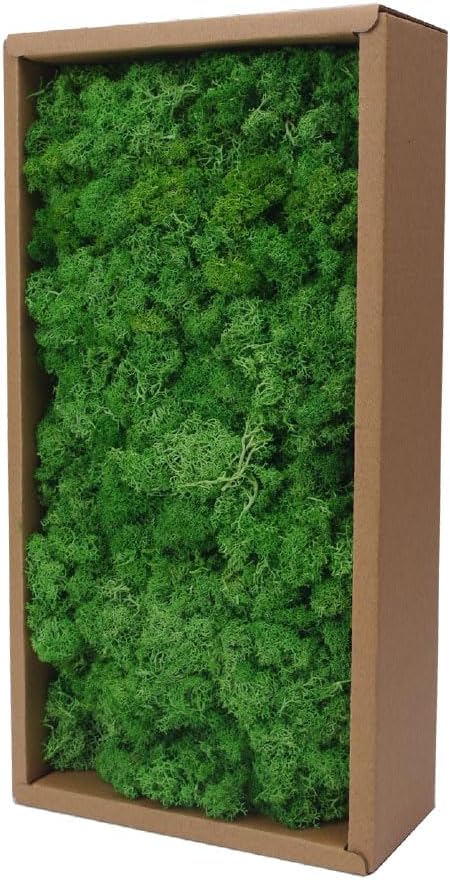 Preserved Reindeer Craft Moss-17.6oz Natural Green DIY Kit Gardenning Art Wall Florist Moss Terrariums Gardenning Decor Landscape Garden Decor(Green 17.6 OZ)
