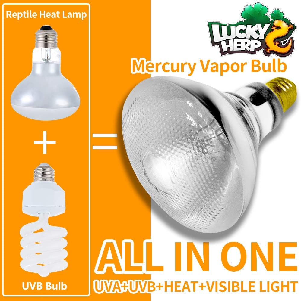 LUCKY HERP 100 Watt UVA UVB Full Spectrum Vapor Heat Lamp Bulb, Self-Ballasted UV Heat Lamp/Bulb/Light for Reptile and Amphibian, Sun Lamp for Bearded Dragon Lizard Turtle(Coated)