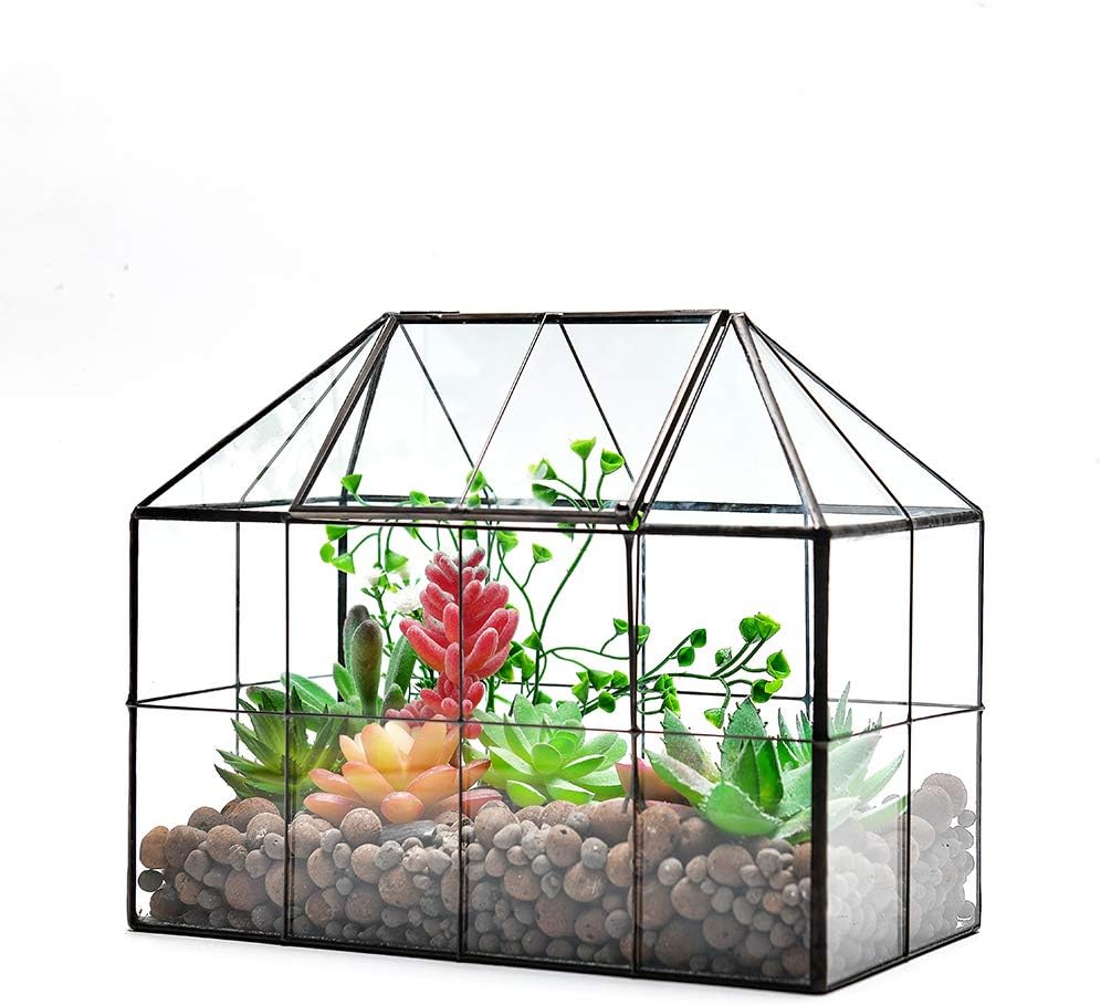 Large Glass Terrarium House Planter – Succulent Plant Glass Greenhouse with lid 9.8"X7.9"X5.9" NA