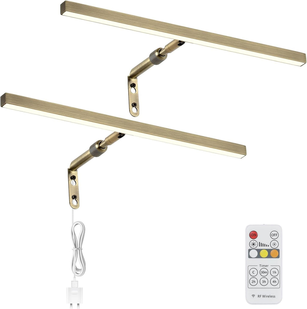 2 Pack LED Picture Lights for Paintings Plug in, 16 Inch 4W Adjustable Art Light Gallery Wall Light for Display Art Work, Antique Brass Finish, CRI90+, 3000K Warm White