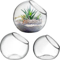 balacoo 3 Pcs Glass Terrariums Bowl for Plants, Terrarium Jar for Air Plant Clear Globe Vase Glass Bowl for Home Desktop Decor