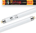 LUCKY HERP 2 Pack T5 UVB 10.0 Reptile Light 8W, UVA UVB Fluorescent Lamp Tube, UVB Lighting Bulb for Turtles, Chameleon, Tortoises, Lizard
