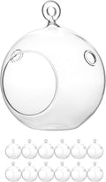 WGV Hanging Terrarium Globe, Width 4", Height 4.75", DIY Air Succulent Planter, Clear Glass Vase Orb with Flat Bottom, Candle Holder for Windowsill Outdoor Garden Decor, 12 Pieces Bulk