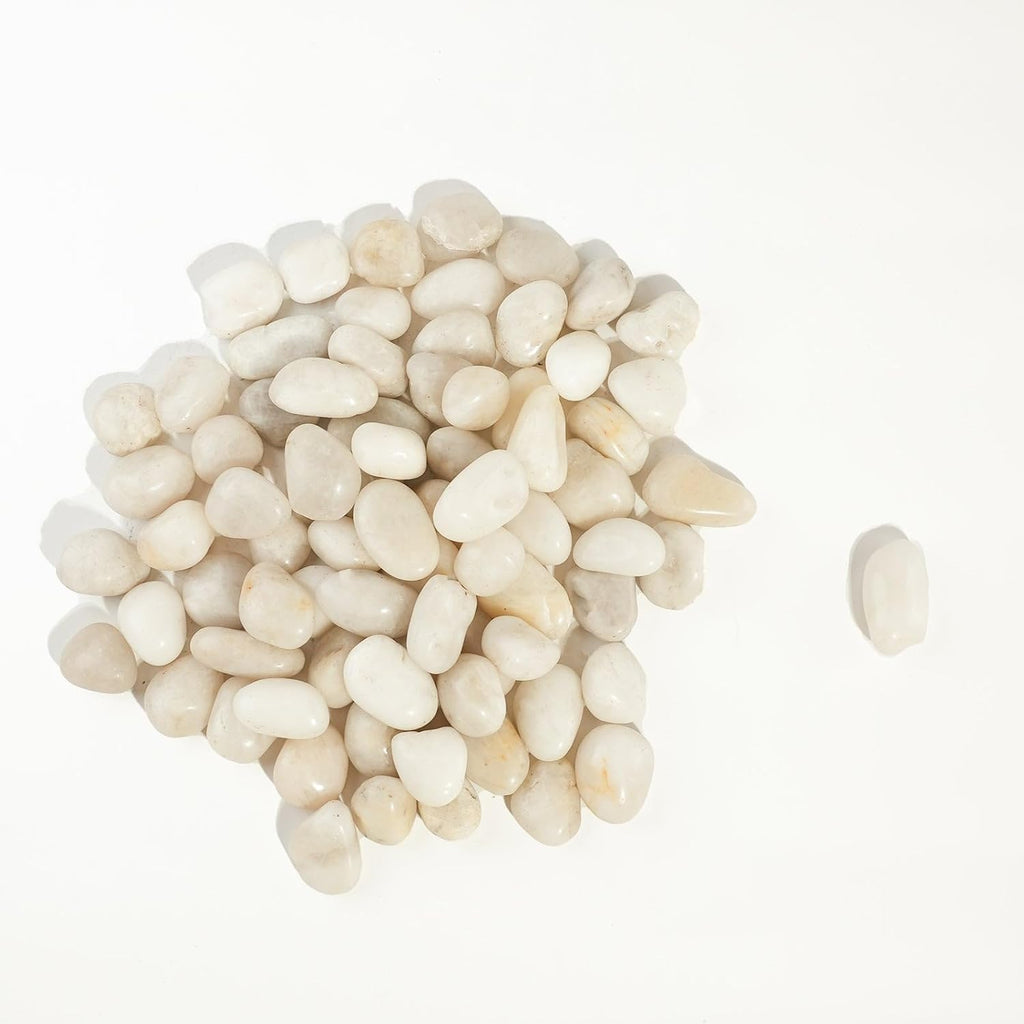 2 LBS River Rocks, StoneCreek, Decorative Garden Stones for Plant Landscaping, Polished Gravel Filler Pebbles for Home Decoration, Vases, Succulents, Flower Beds and Fish Tanks (White, Medium)