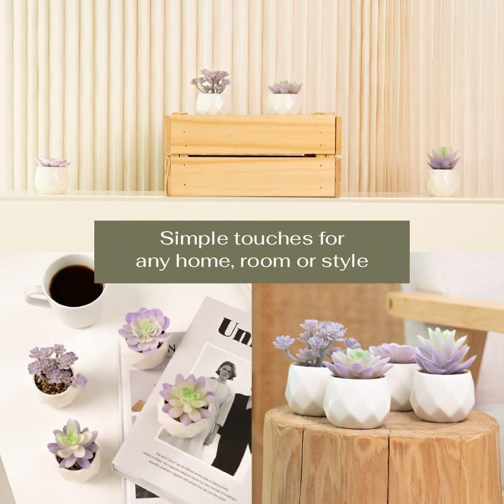 VIVERIE Artificial Purple Succulents Plant in White Ceramic Pots, Set of 4 - Mini Succulent Fake Room Decoration Aesthetics, Office Supplies/Room Decor/Office Halloween&Christmas Gifts